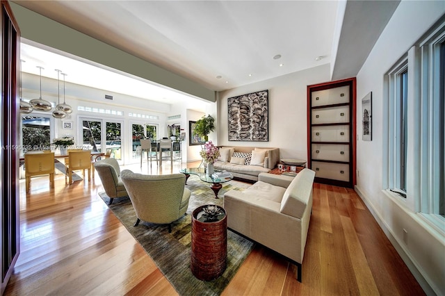 living room with wood-type flooring