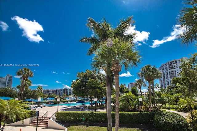 view of swimming pool