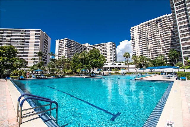 view of swimming pool with a patio