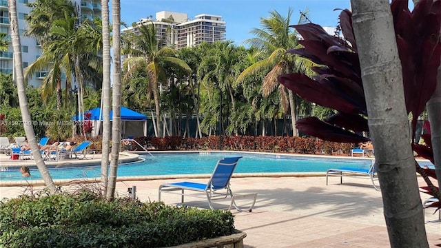 view of swimming pool with a patio