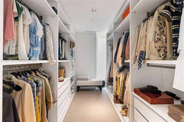 walk in closet featuring light colored carpet