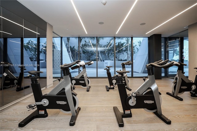 workout area featuring light hardwood / wood-style flooring, expansive windows, and plenty of natural light