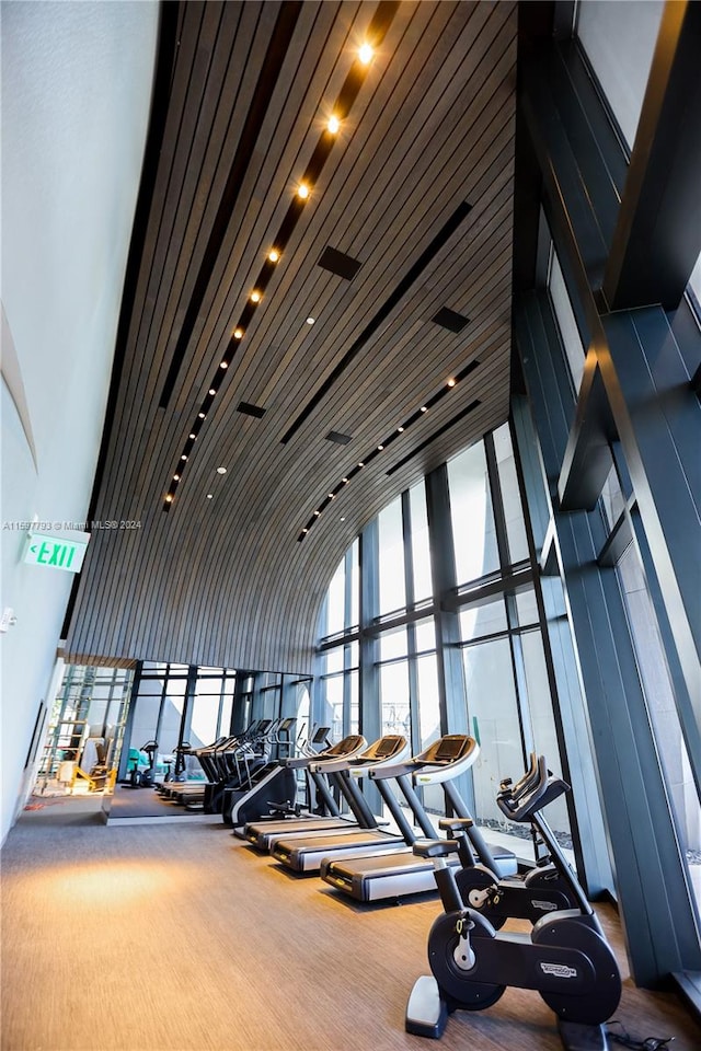 exercise room with a towering ceiling