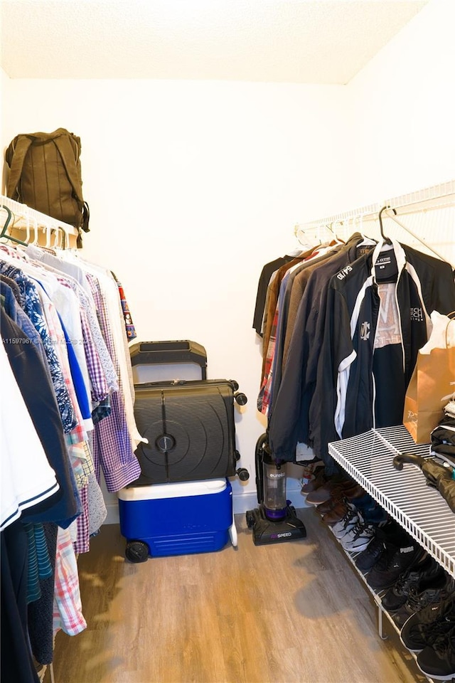 walk in closet featuring wood-type flooring