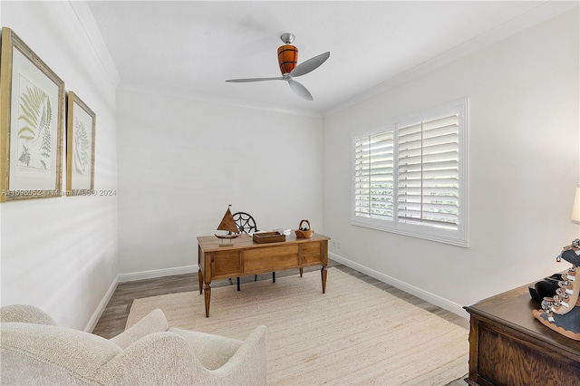 office space with ceiling fan, light hardwood / wood-style floors, and crown molding