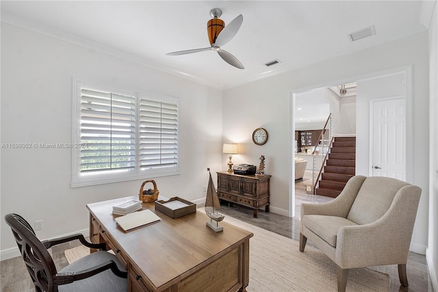 home office featuring light hardwood / wood-style floors, ceiling fan, and ornamental molding