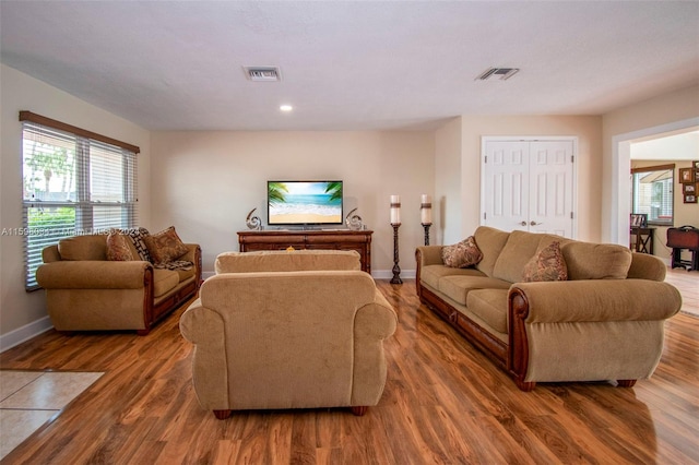 living room featuring wood-type flooring