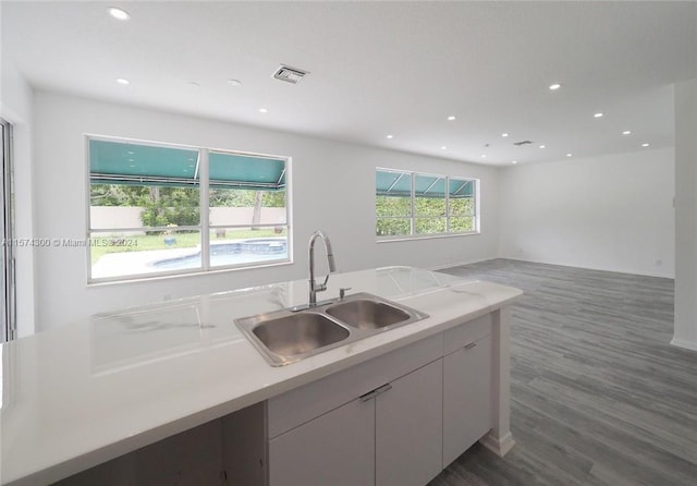 kitchen with sink and dark wood-type flooring