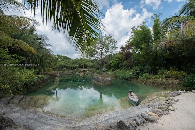 view of water feature