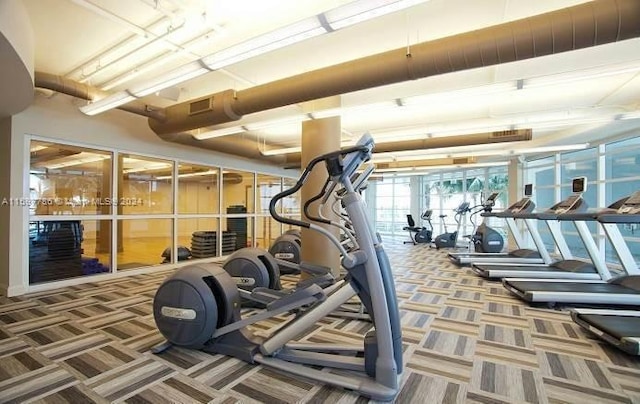 workout area with carpet