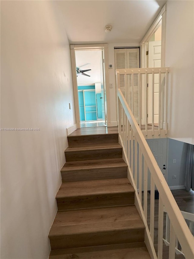 stairway with hardwood / wood-style flooring