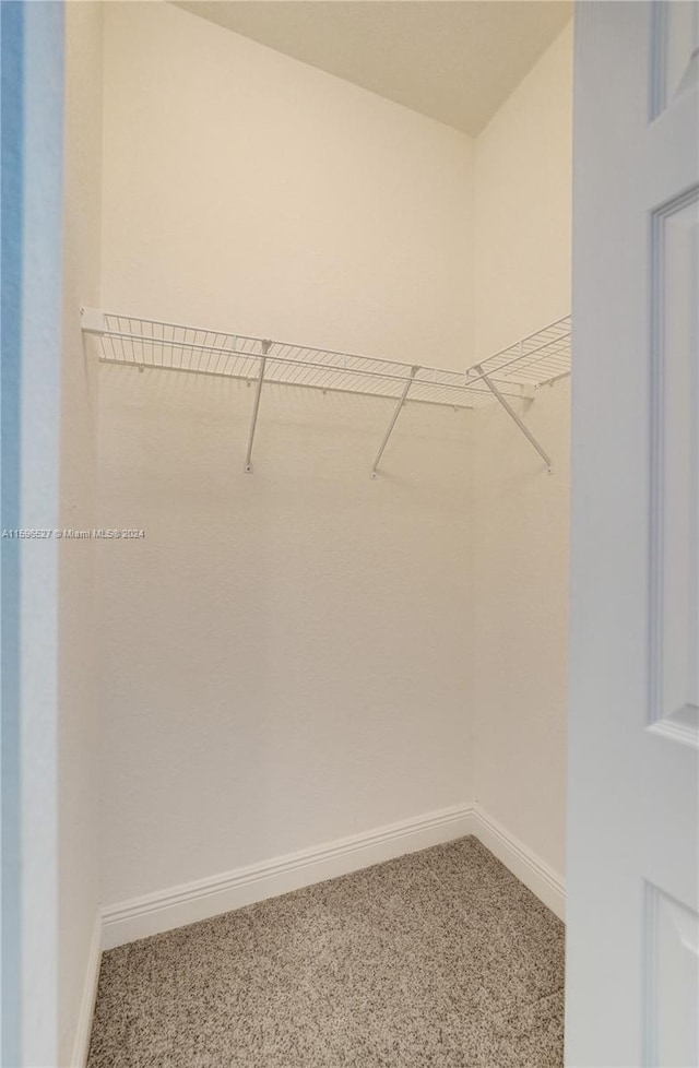 spacious closet with carpet floors