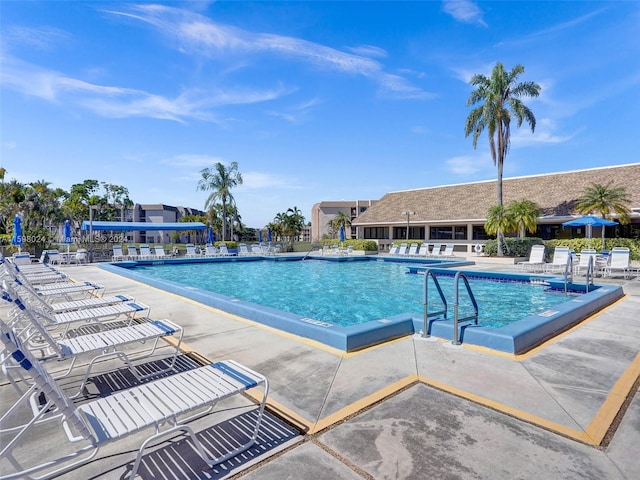 view of pool featuring a patio