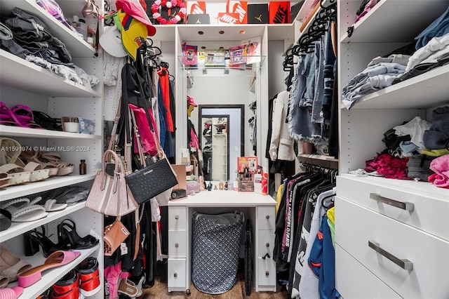 view of spacious closet