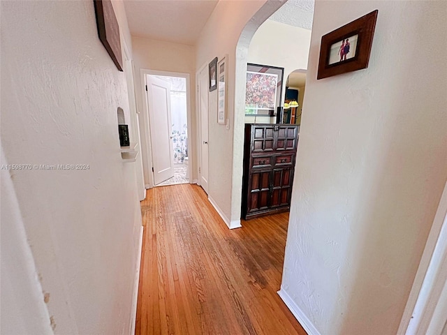 hallway featuring wood-type flooring