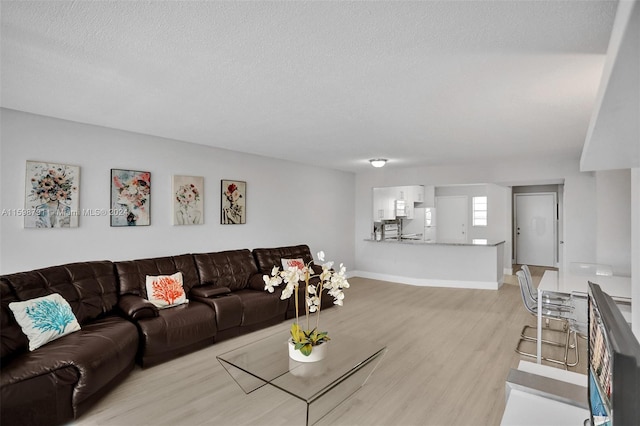 living room with light hardwood / wood-style floors and a textured ceiling