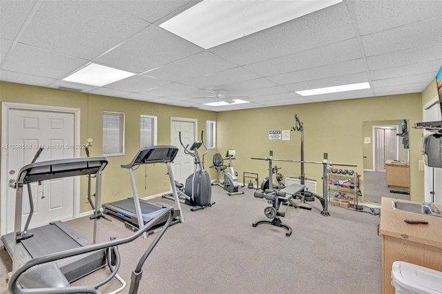 workout area featuring a paneled ceiling, ceiling fan, and carpet floors