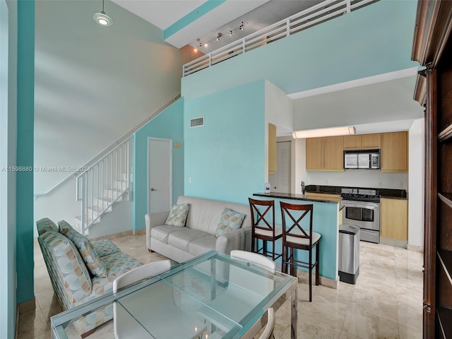 living room with a towering ceiling