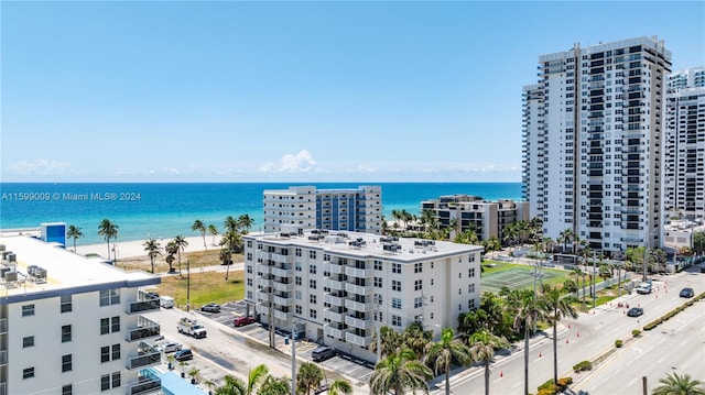 view of water feature featuring a beach view