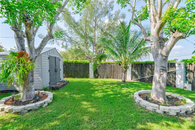 view of yard with a storage shed