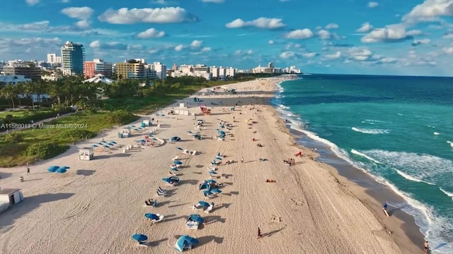 property view of water featuring a view of the beach