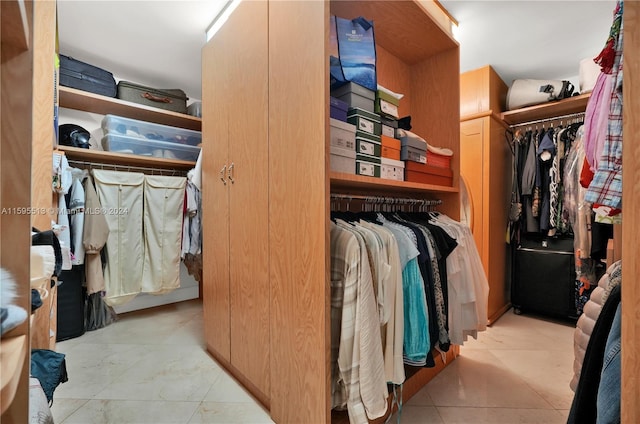 view of walk in closet