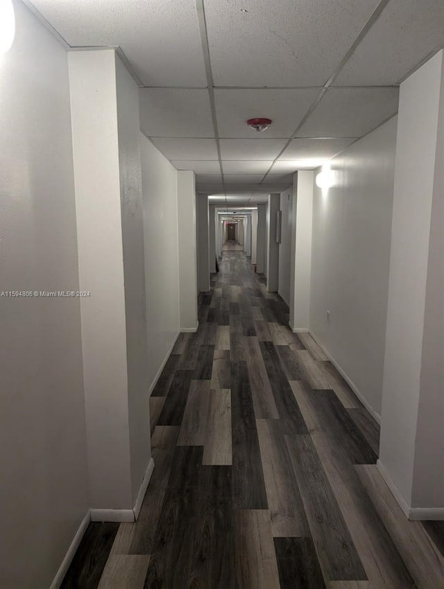 hallway featuring dark wood-type flooring and a paneled ceiling