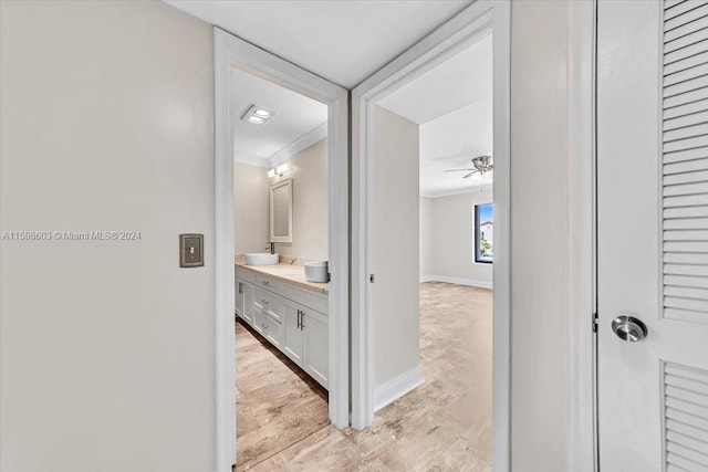 corridor featuring light wood-type flooring, crown molding, and sink