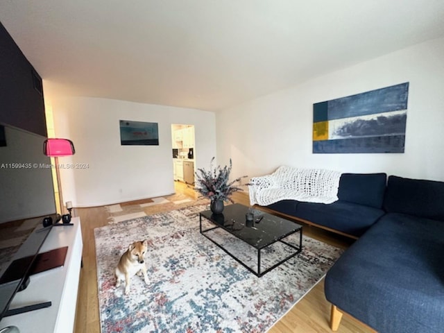 living room with hardwood / wood-style flooring