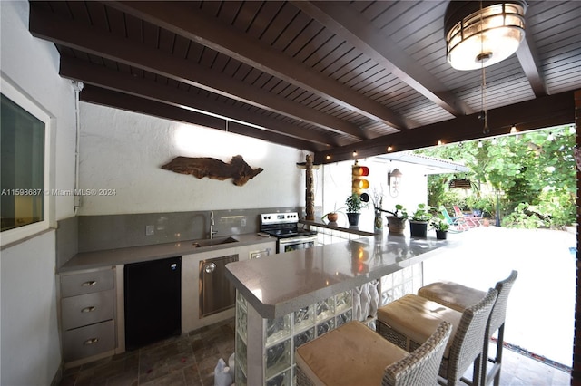 view of patio / terrace featuring sink and exterior kitchen