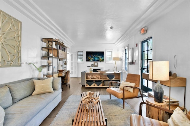 living room featuring wood-type flooring