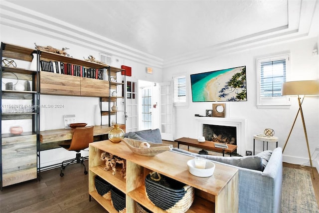 living room featuring dark wood-type flooring