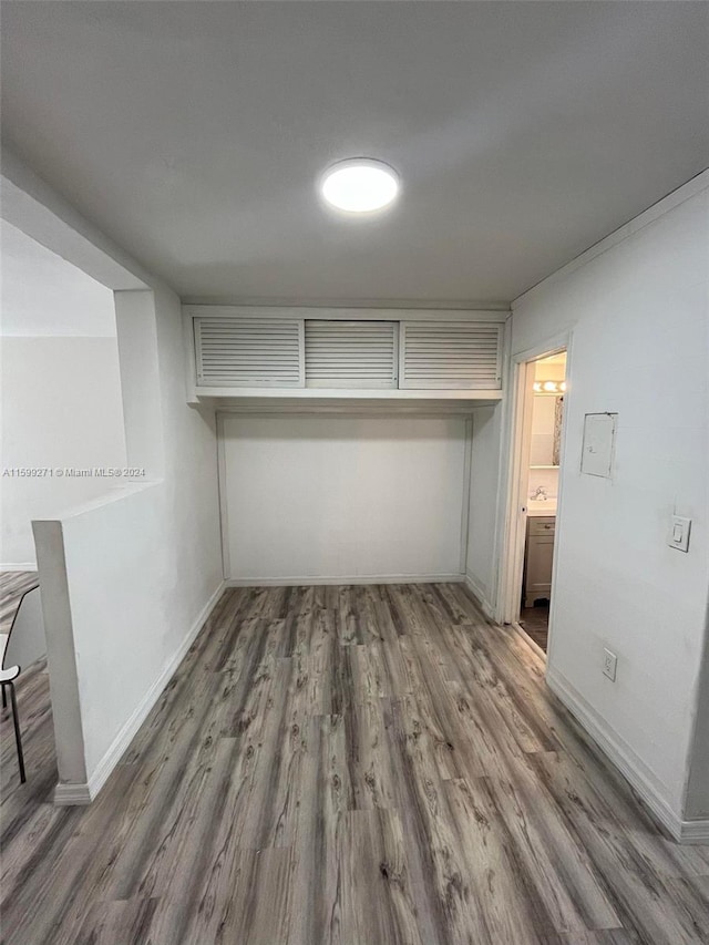 spacious closet featuring wood-type flooring