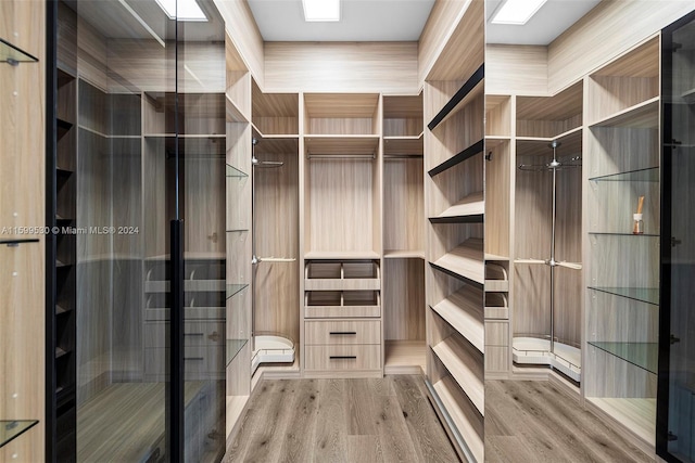 spacious closet with wood-type flooring