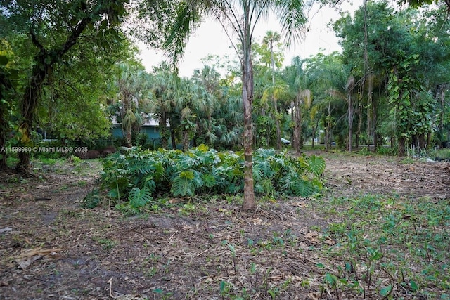 385 Caloosa Dr, La Belle, FL 33935 - photo 1