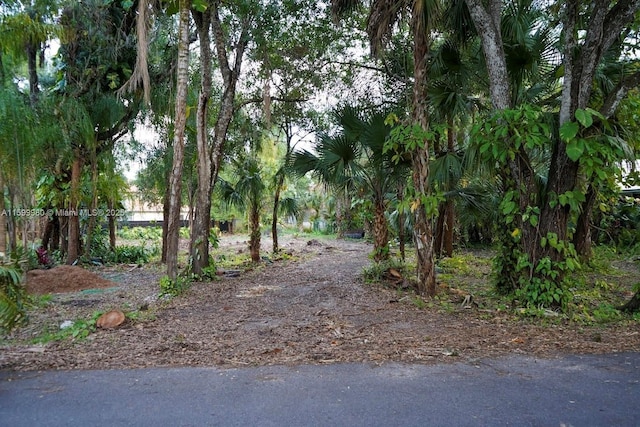 385 Caloosa Dr, La Belle, FL 33935 - photo 2