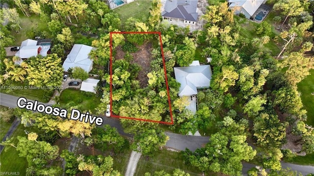 385 Caloosa Dr, La Belle, FL 33935 - photo 4