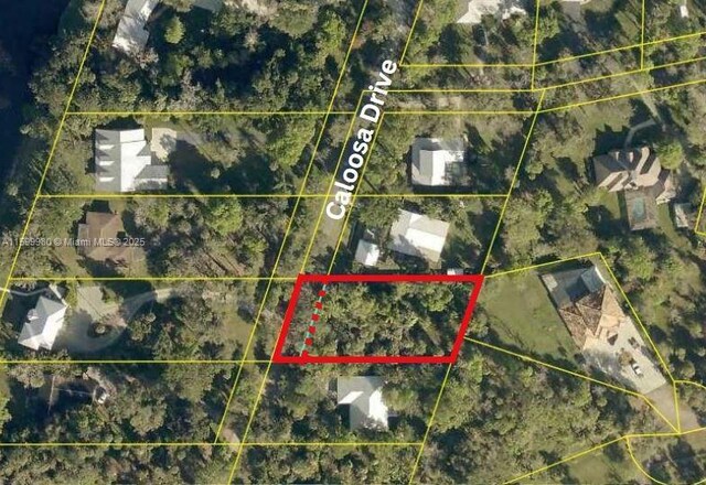 385 Caloosa Dr, La Belle, FL 33935 - photo 7
