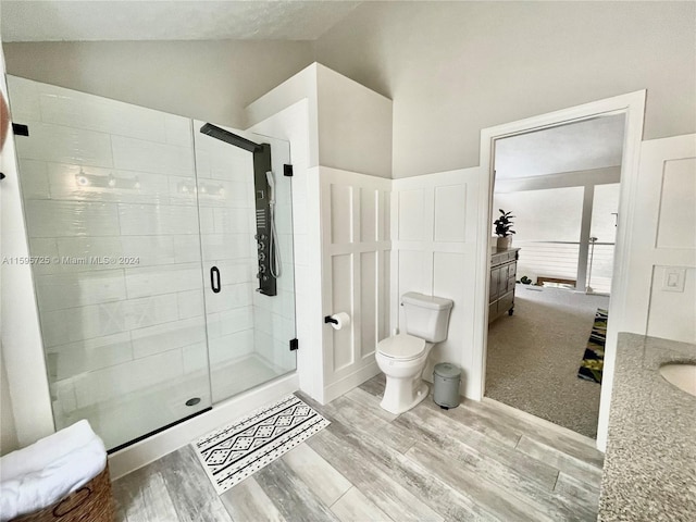 bathroom with walk in shower, vaulted ceiling, toilet, and vanity