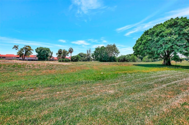 view of yard featuring a rural view