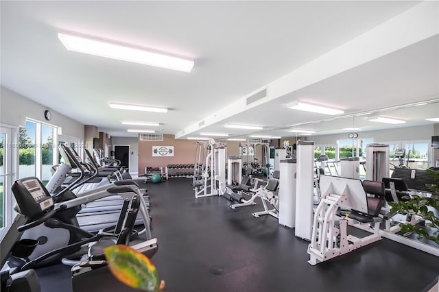 exercise room with plenty of natural light
