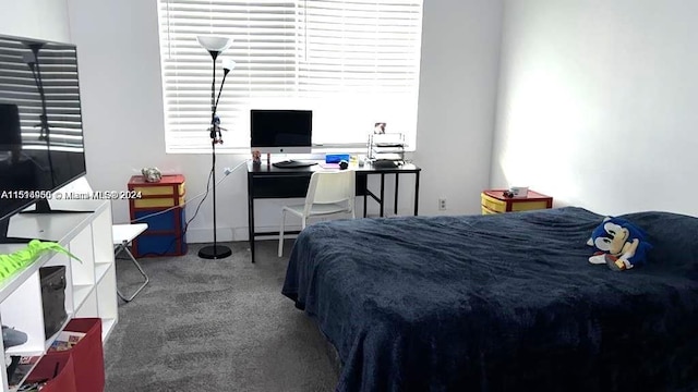 bedroom with carpet floors