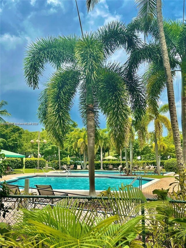 view of swimming pool