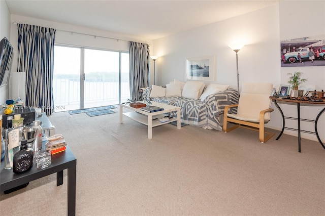 living room with carpet floors