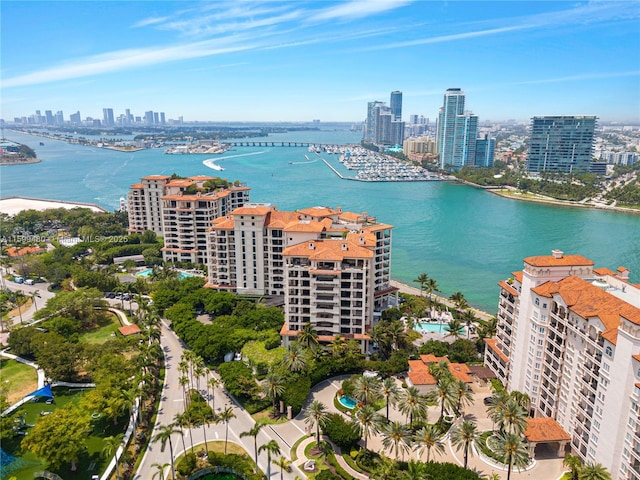 drone / aerial view featuring a city view and a water view