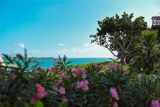 water view