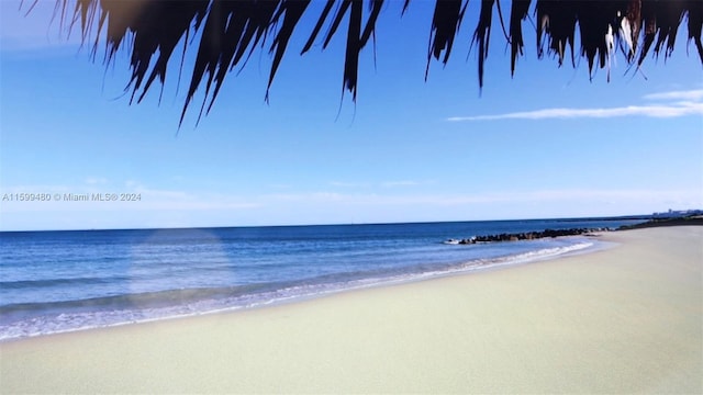 property view of water featuring a beach view