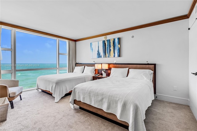 bedroom with carpet flooring, a water view, and ornamental molding