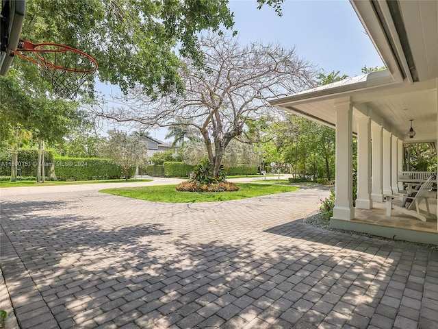 8020 SW 62nd Ave, South Miami, FL 33143 - photo 47
