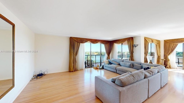 living room featuring a wealth of natural light and light wood-type flooring